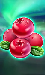 Winterberries