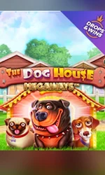 The Dog House Megaways