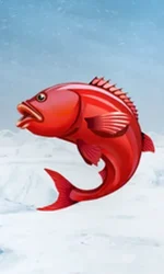 Ice Fishing