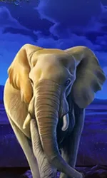 African Elephant